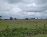 1830 County Road 772, Damon image