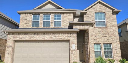 24918 Puccini Place, Katy