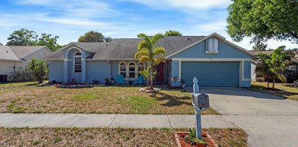 3472 Fan Palm Boulevard, Melbourne