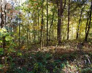 Lot 46 West Drive, Parrottsville image