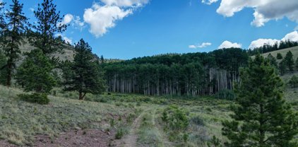 84.85 Acres, Saguache