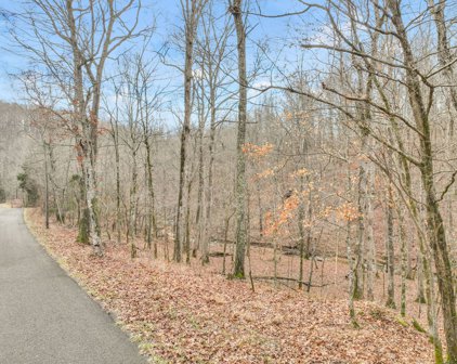 North Fork Dr, Ashland City