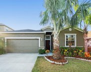 2350 Dovesong Trace Drive, Ruskin image