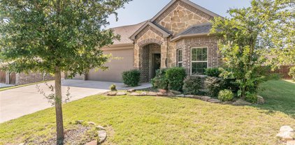 2118 Louis  Trail, Weatherford