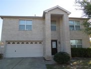 18202 Cole Bridge Court, Cypress image
