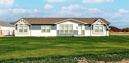 1245 Buckskin, Delta