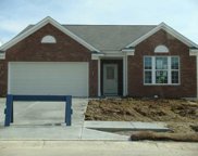 12885 Oxbridge Place, Fishers image
