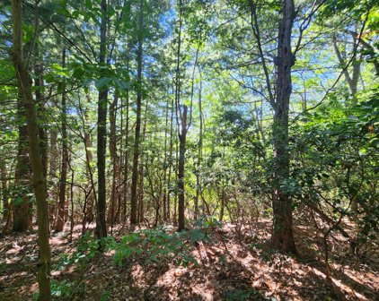 Masons Knob  Rd, Boones Mill