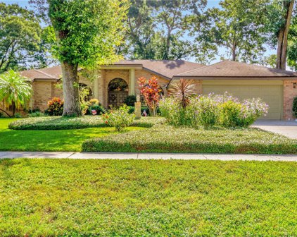 1911 Cimmaron Run Drive, Valrico