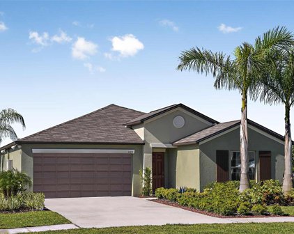 9907 Branching Ship Trace, Wesley Chapel