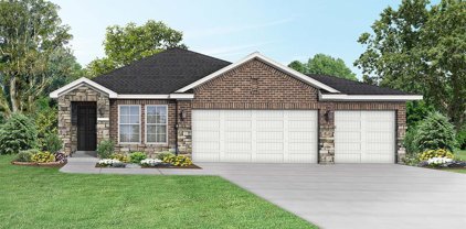 10706 Amador Peak Drive, Rosharon