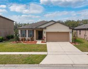 8822 Hinsdale Heights Drive, Polk City image