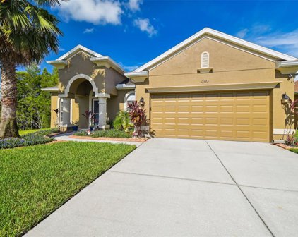 11103 Shelter Cove Loop, New Port Richey