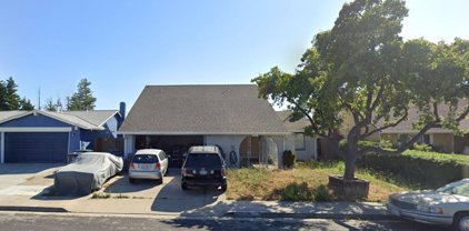 3220 San Andreas Drive, Union City