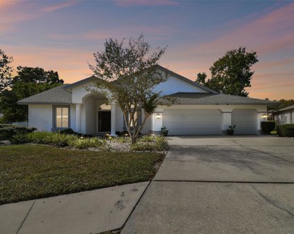 427 Mintwood Terrace, Tarpon Springs