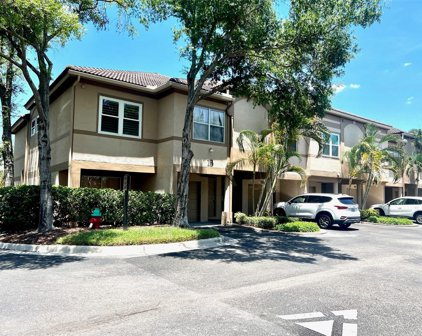 900 Normandy Trace Road, Tampa
