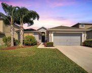 2432 Dovesong Trace Drive, Ruskin image