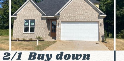 4770 Oyster Bay Cove, Horn Lake