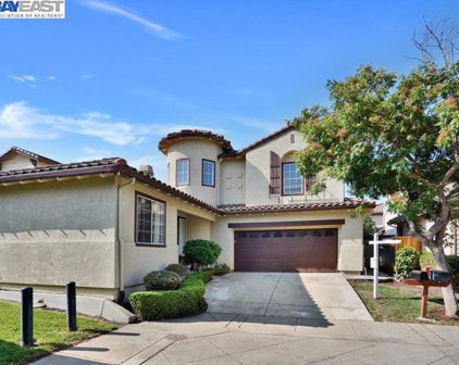 35241 Black Mesa Ter, Fremont