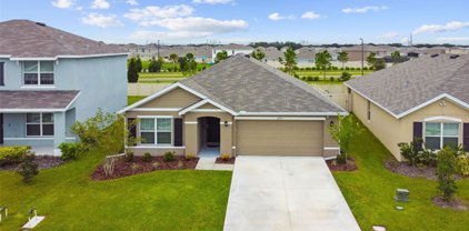 12155 Kingsley Trail, Parrish