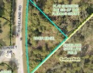 12398 Roseland Road, Sebastian image