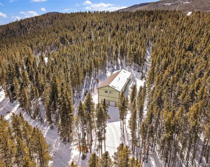 68 Elk Way, Idaho Springs