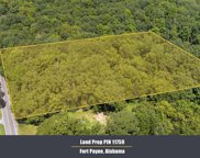 1707 Smith Gap Road Nw, Fort Payne image