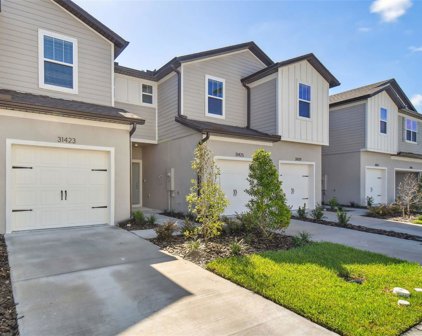 5361 Elmview Crossing, Wesley Chapel