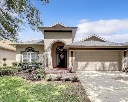 8458 Baywood Vista Drive, Orlando