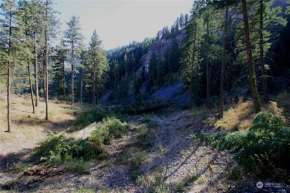 0 NNA Number 2 Canyon Road Unit #B, Wenatchee