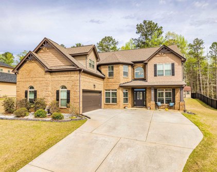 223 Darien Drive, Senoia