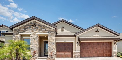 12792 Mangrove Forest Drive, Riverview