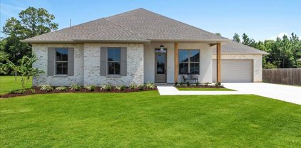 708 Sawyer  Court, Pearl River