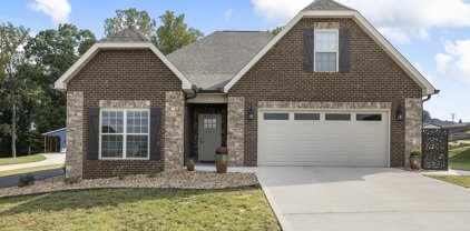 216 Butterfly Way, Maryville