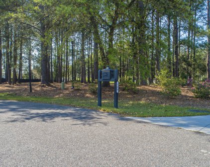 102 Whooping Crane Court, Summerville