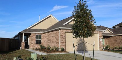 17438 Cyprian Cedar Lane, New Caney