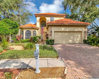 15351 Sherwood Forest Drive, Tampa