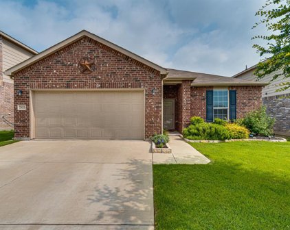 2433 Simmental  Road, Fort Worth