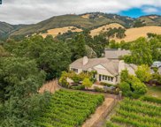 111 Diablo Ranch Ct, Danville image