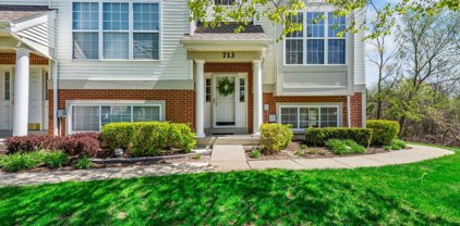 713 Pheasant Trail, St. Charles