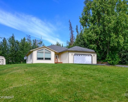 2370 N Thunder Gulch Circle, Palmer