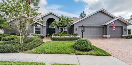 13715 Chestersall Drive, Tampa