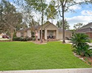 2118 Chester Fort Drive, Spring image