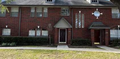 1307 El Camino Village Drive, Webster
