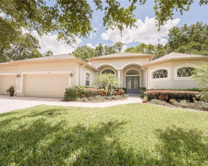 1734 Highland Oaks Boulevard, Lutz