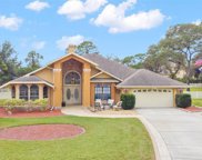 12458 Winston Court, Spring Hill image
