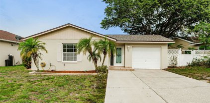 840 Grenoble Drive, Palm Harbor