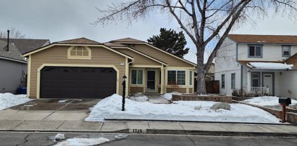 1719 Maple Creek, Carson City