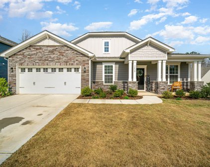 3039 Eagle Ridge  Lane, Indian Trail