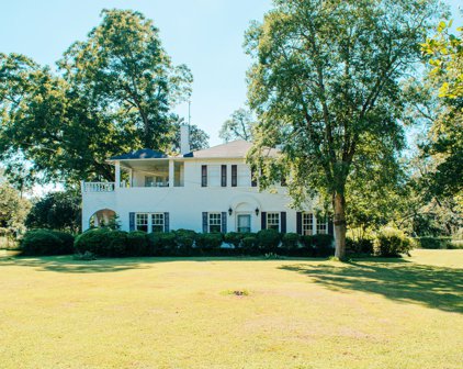 102 W Ellaville Street, Andersonville